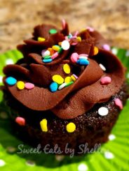 Chocolate Cupcake with Whipped Chocolate Ganache